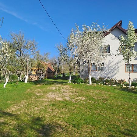 Casa Cristalul Muntilor Poiana Mărului Exterior foto