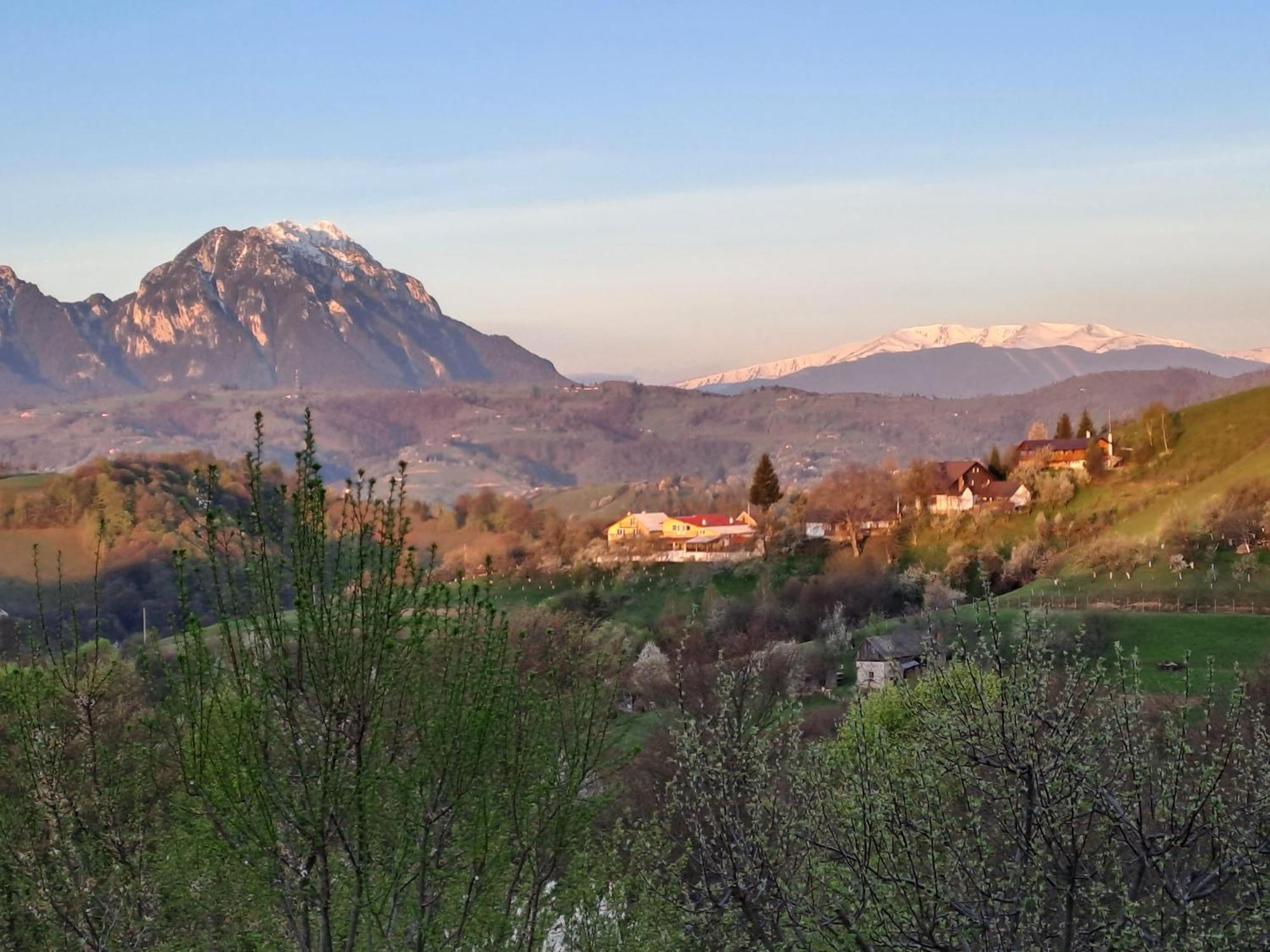 Casa Cristalul Muntilor Poiana Mărului Exterior foto