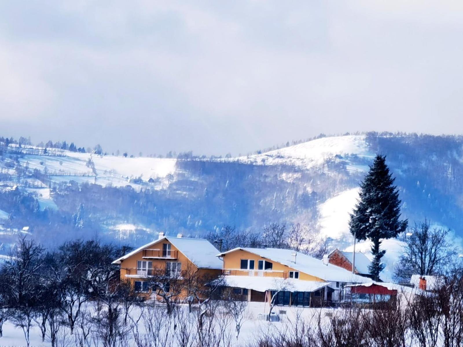 Casa Cristalul Muntilor Poiana Mărului Exterior foto