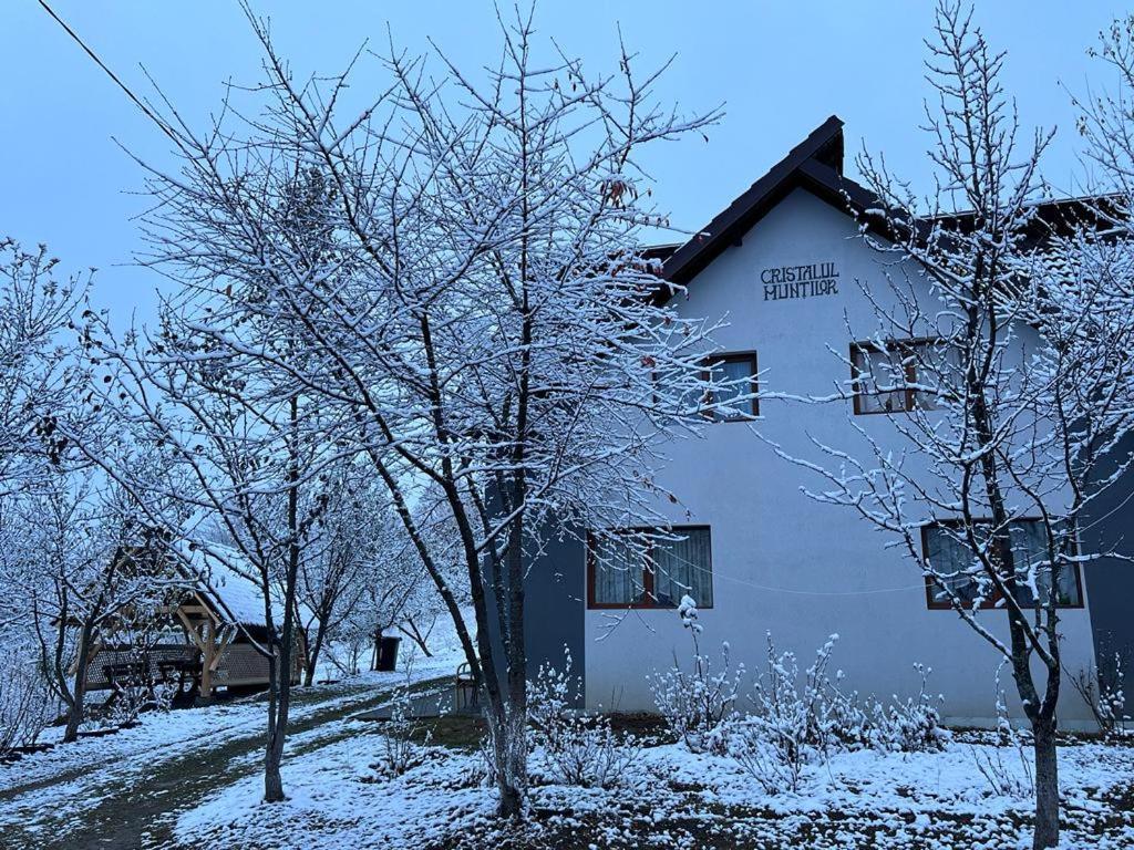 Casa Cristalul Muntilor Poiana Mărului Exterior foto