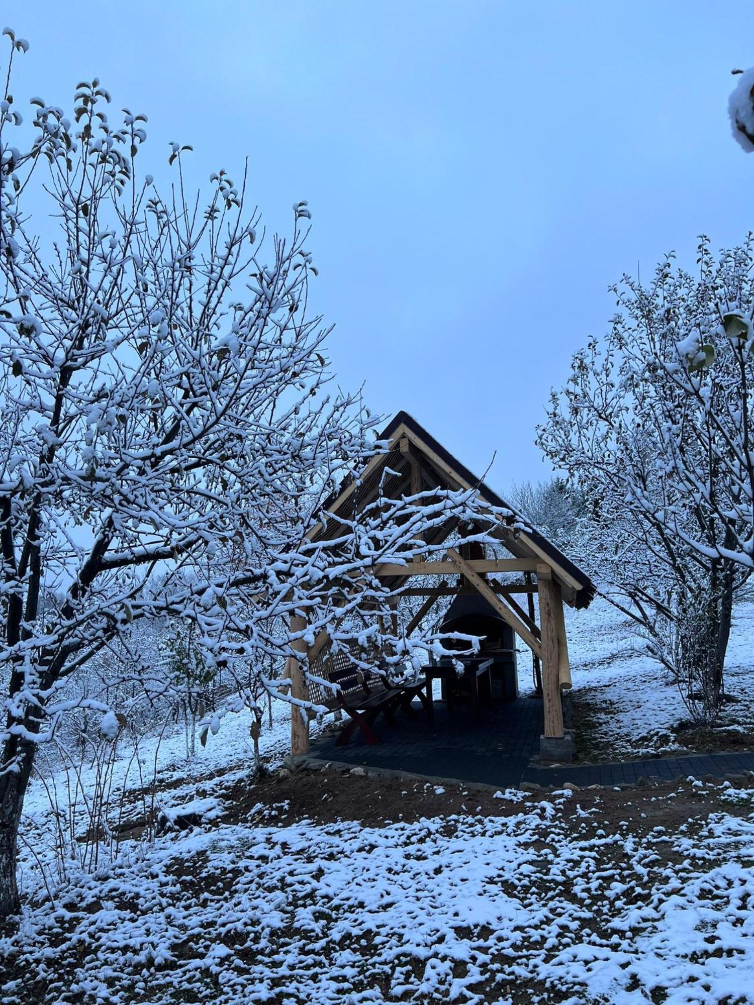 Casa Cristalul Muntilor Poiana Mărului Exterior foto