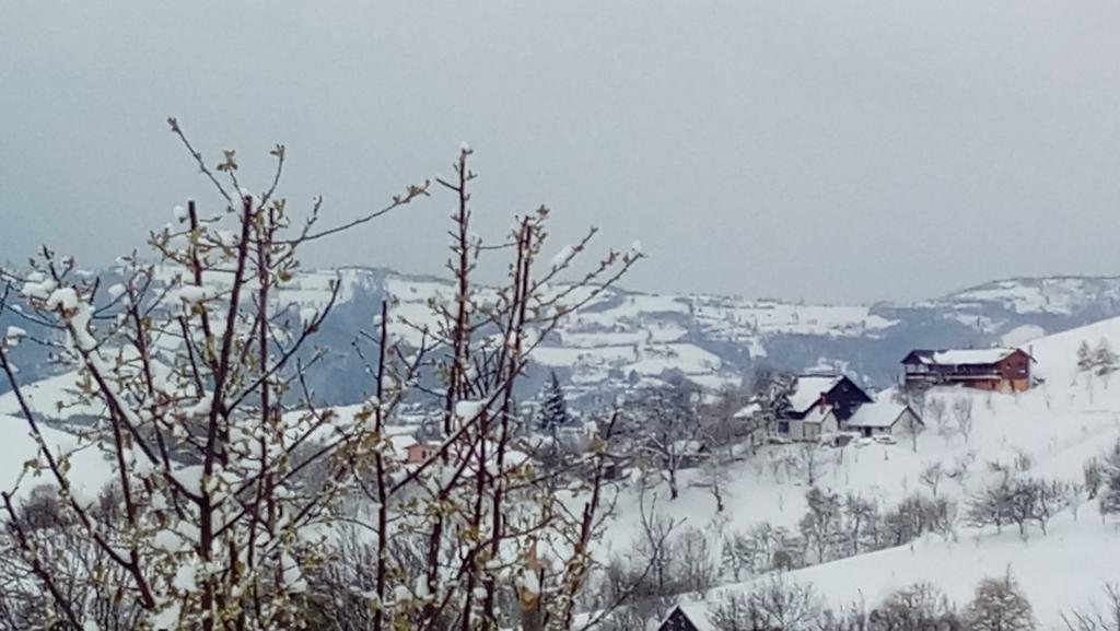 Casa Cristalul Muntilor Poiana Mărului Exterior foto
