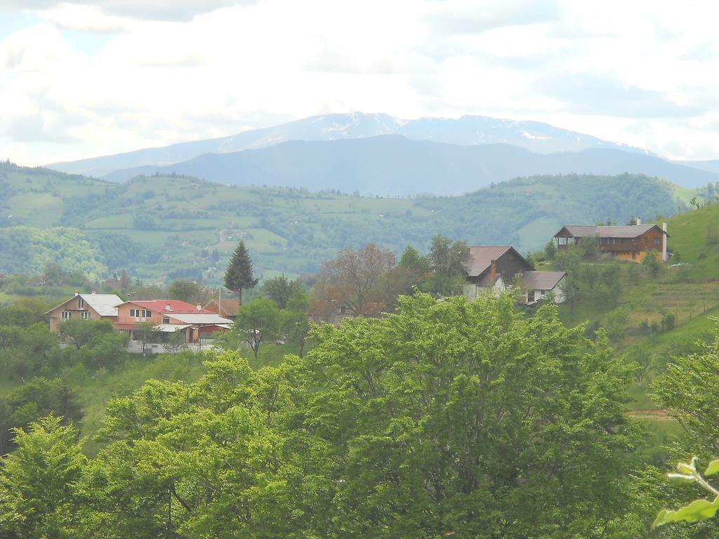 Casa Cristalul Muntilor Poiana Mărului Exterior foto