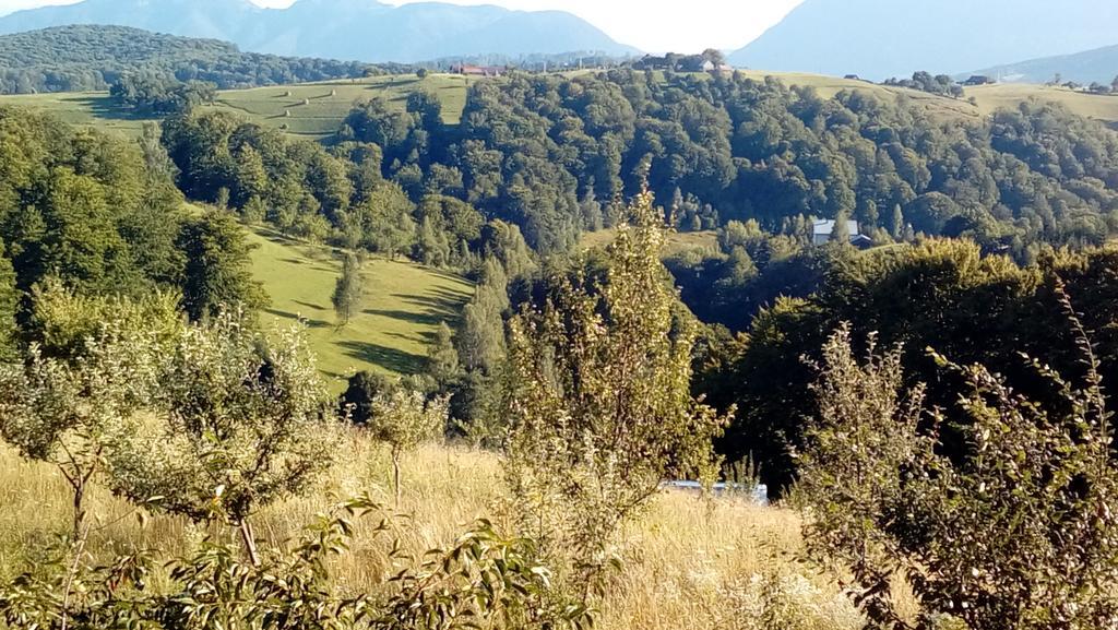Casa Cristalul Muntilor Poiana Mărului Exterior foto