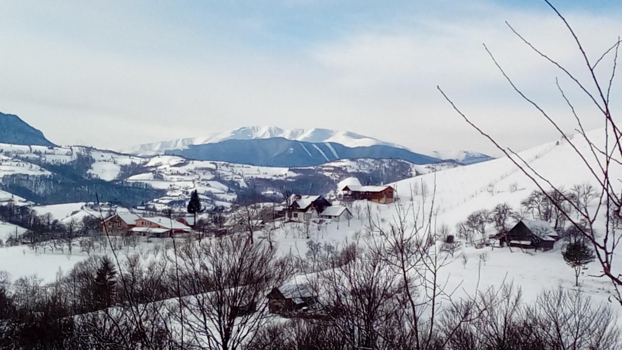 Casa Cristalul Muntilor Poiana Mărului Exterior foto