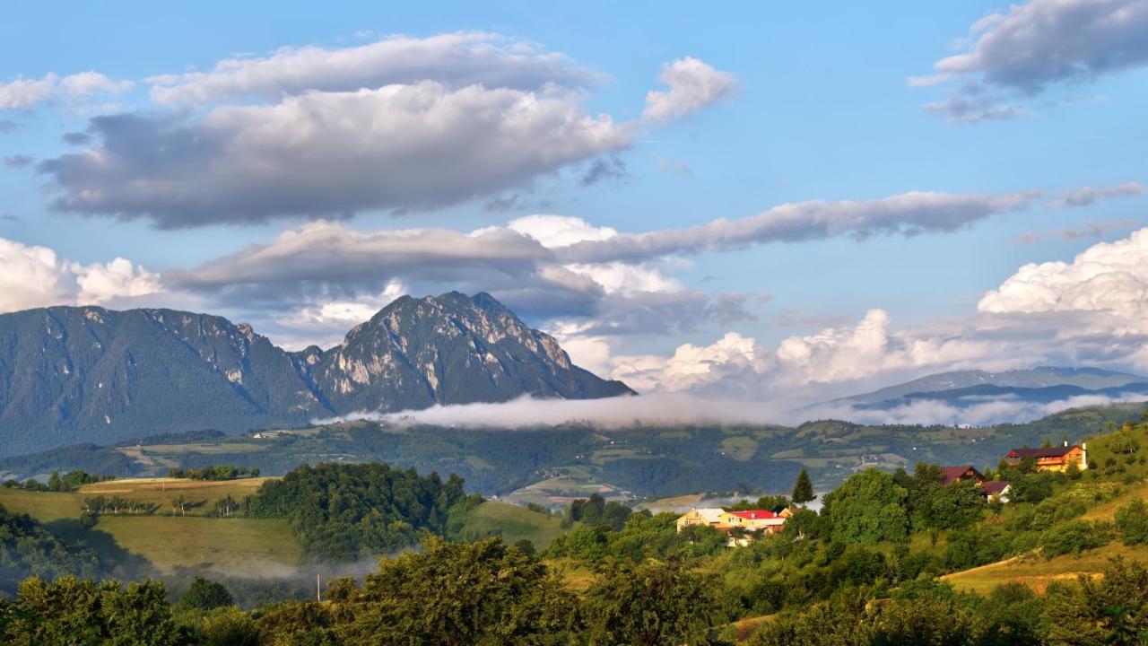 Casa Cristalul Muntilor Poiana Mărului Exterior foto